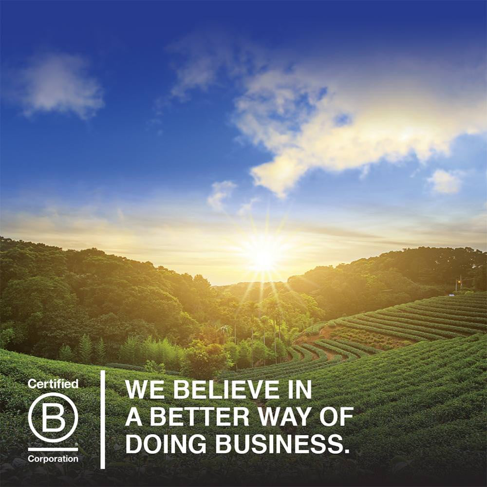 OG2 GOL RW XVRG CNUT OIL ( 6 X 14 OZ   )-11