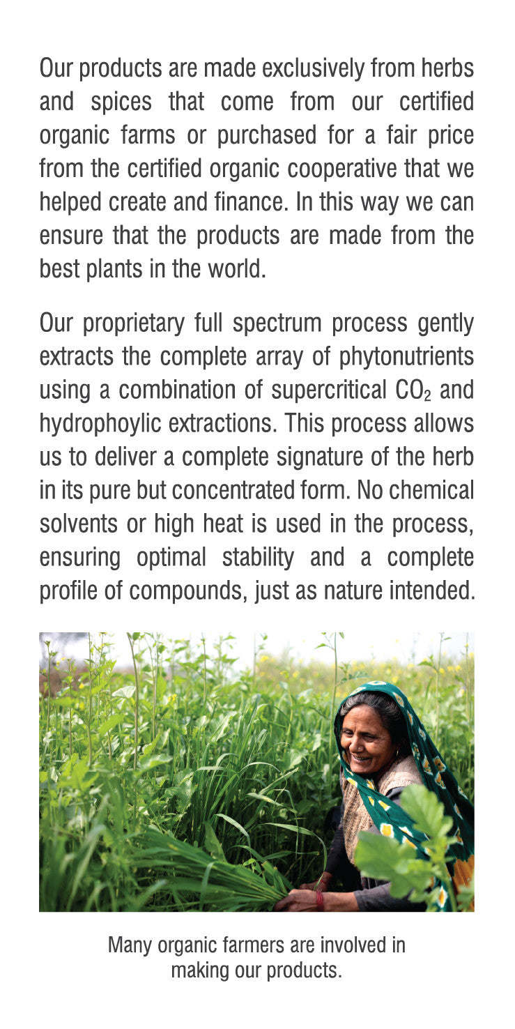 Cinnamon Dual Extracted Powder-3