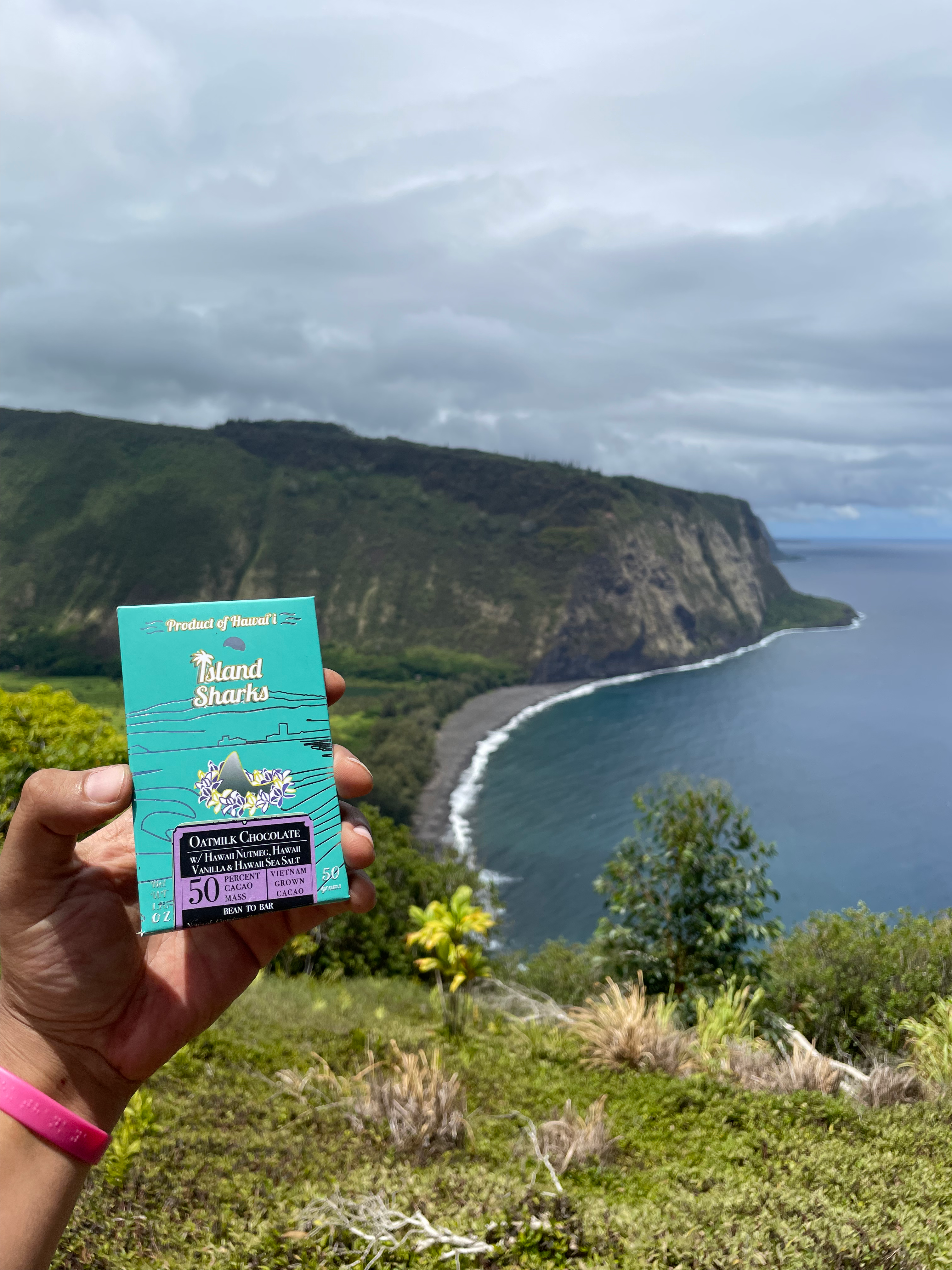 45% Oatmilk Chocolate w/ Waipi'o Vanilla-0