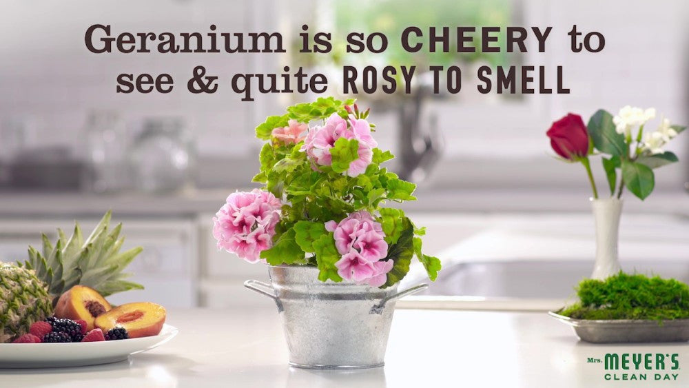 Meyers Geranium Liquid Dish Soap (6x16 Oz)-10