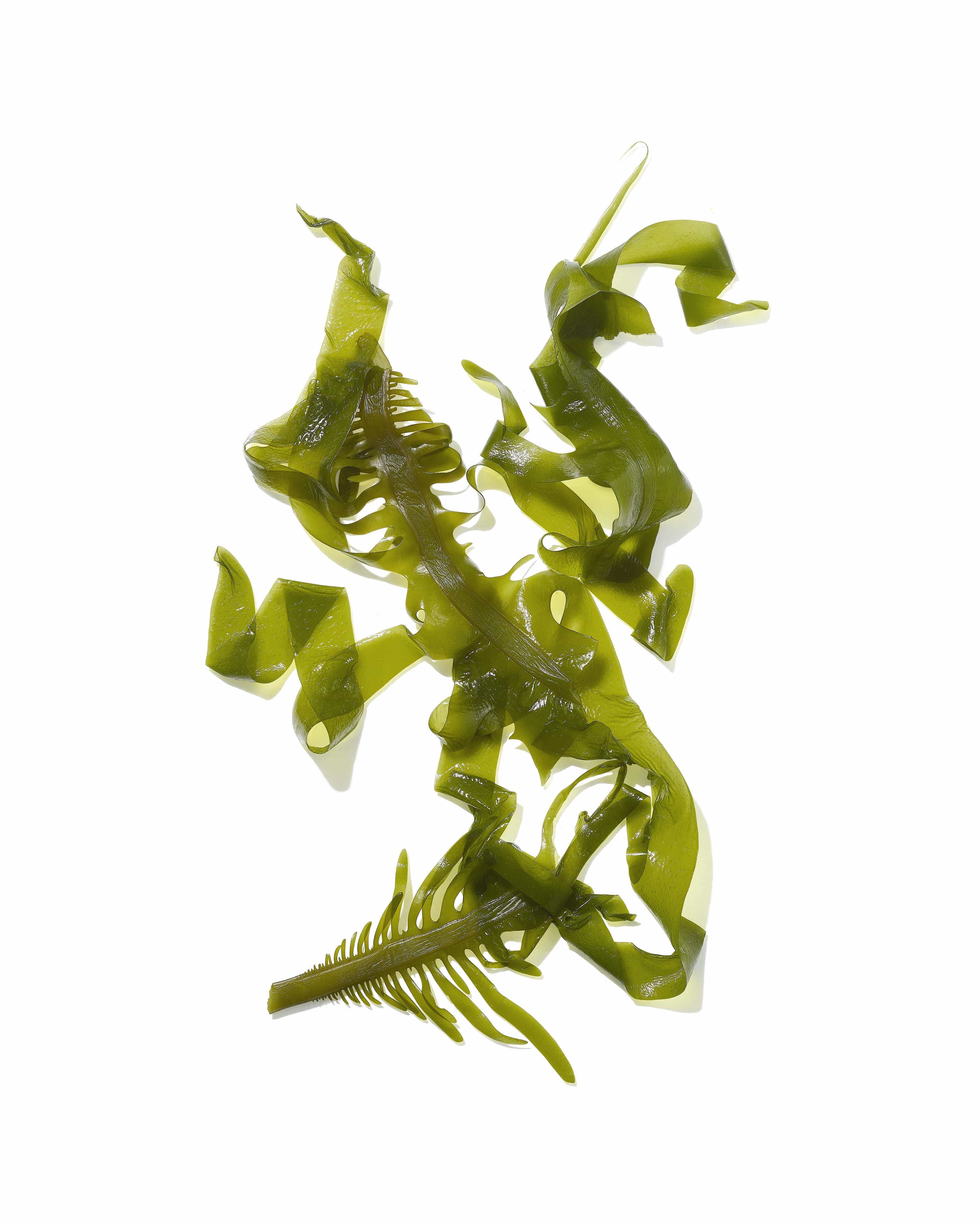 Mekabu Hydrating Conditioner 32 oz-4