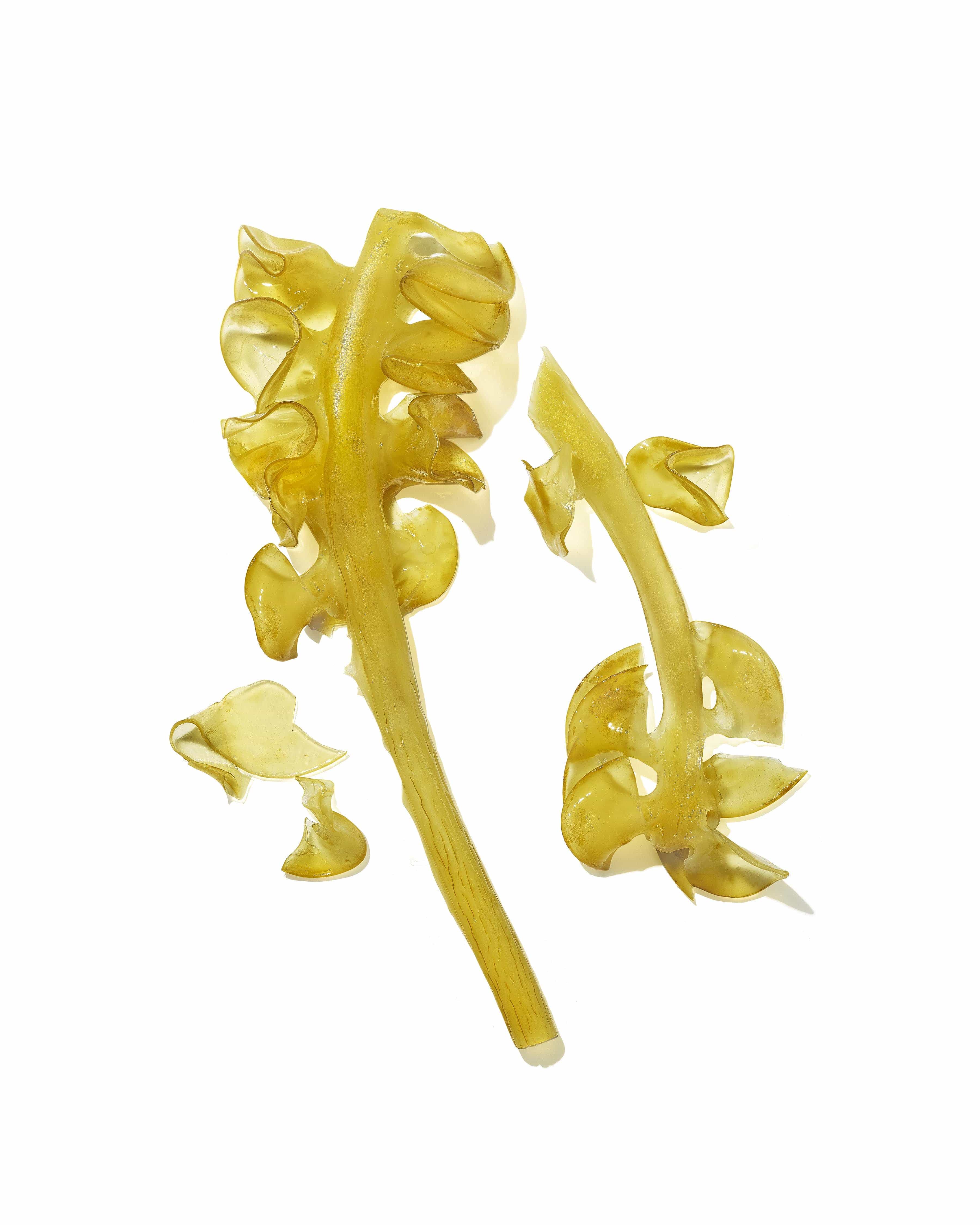 Mekabu Hydrating Travel Size Shine Serum-1