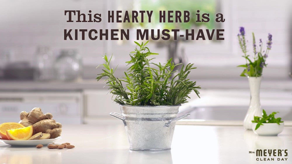 Mrs. Meyers Clean Day Liquid, Rosemary (6x16 Oz)-7