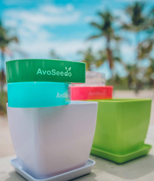 AvoSeedo Plant Pot Set-0