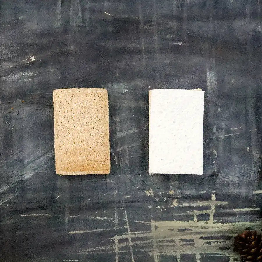 Eco Sponge-5