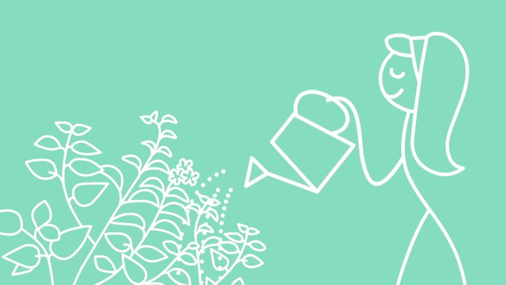 MMCD LIQ HND SOAP PPRMNT ( 6 X 12.5 OZ   )-4