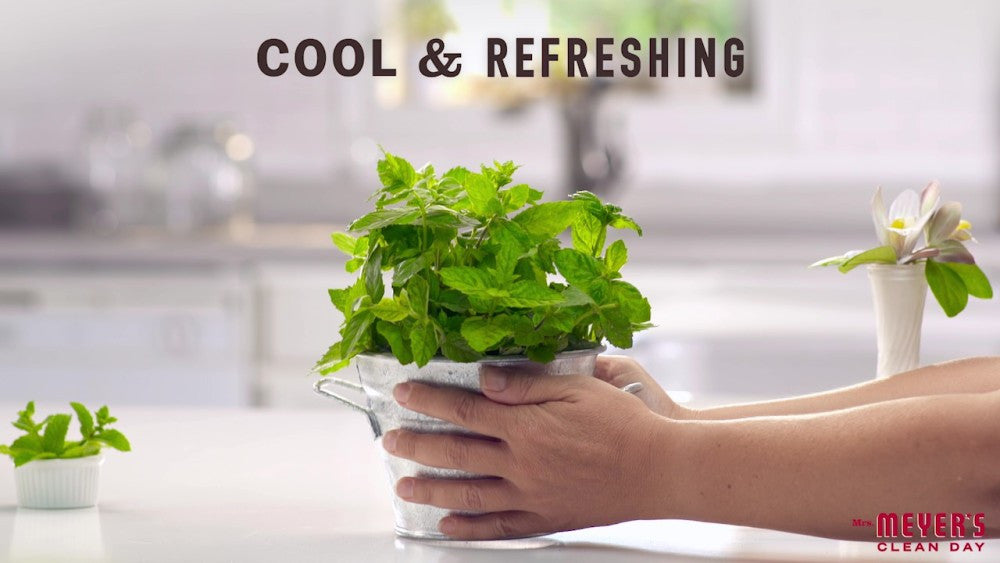 MMCD LIQ HND SOAP PPRMNT ( 6 X 12.5 OZ   )-1