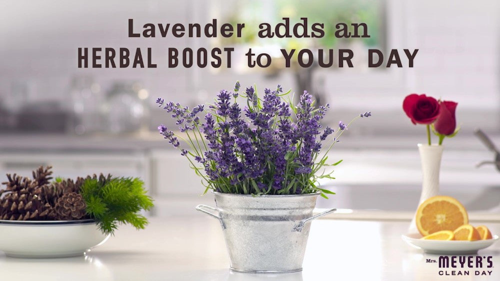 Meyers Lavender Soy Candle (6x7.2 Oz)-1