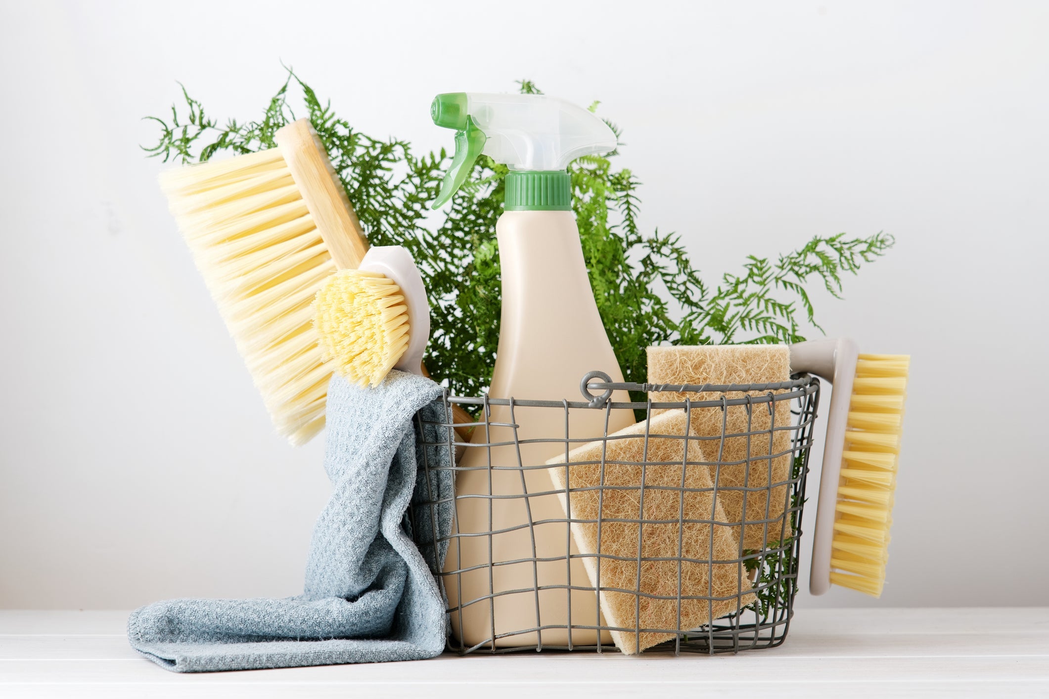 Wellness That Lasts: How Sustainable Living Nurtures Your Health