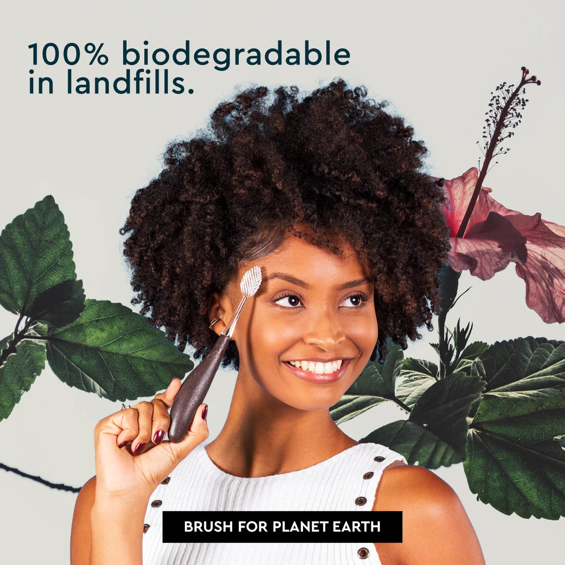 Radius Source„¢ Brush Toothbrush 6 Pack