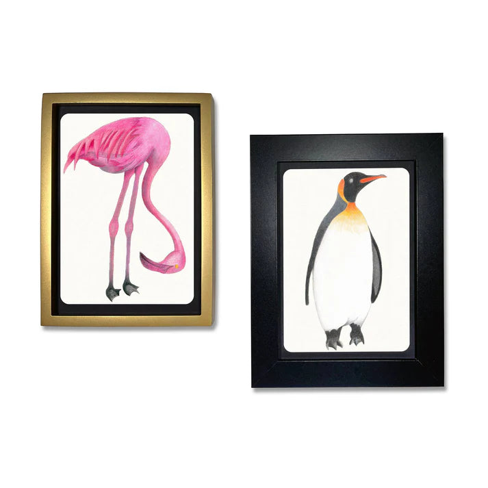 Coloring Postcards - Birds (30 postcards)