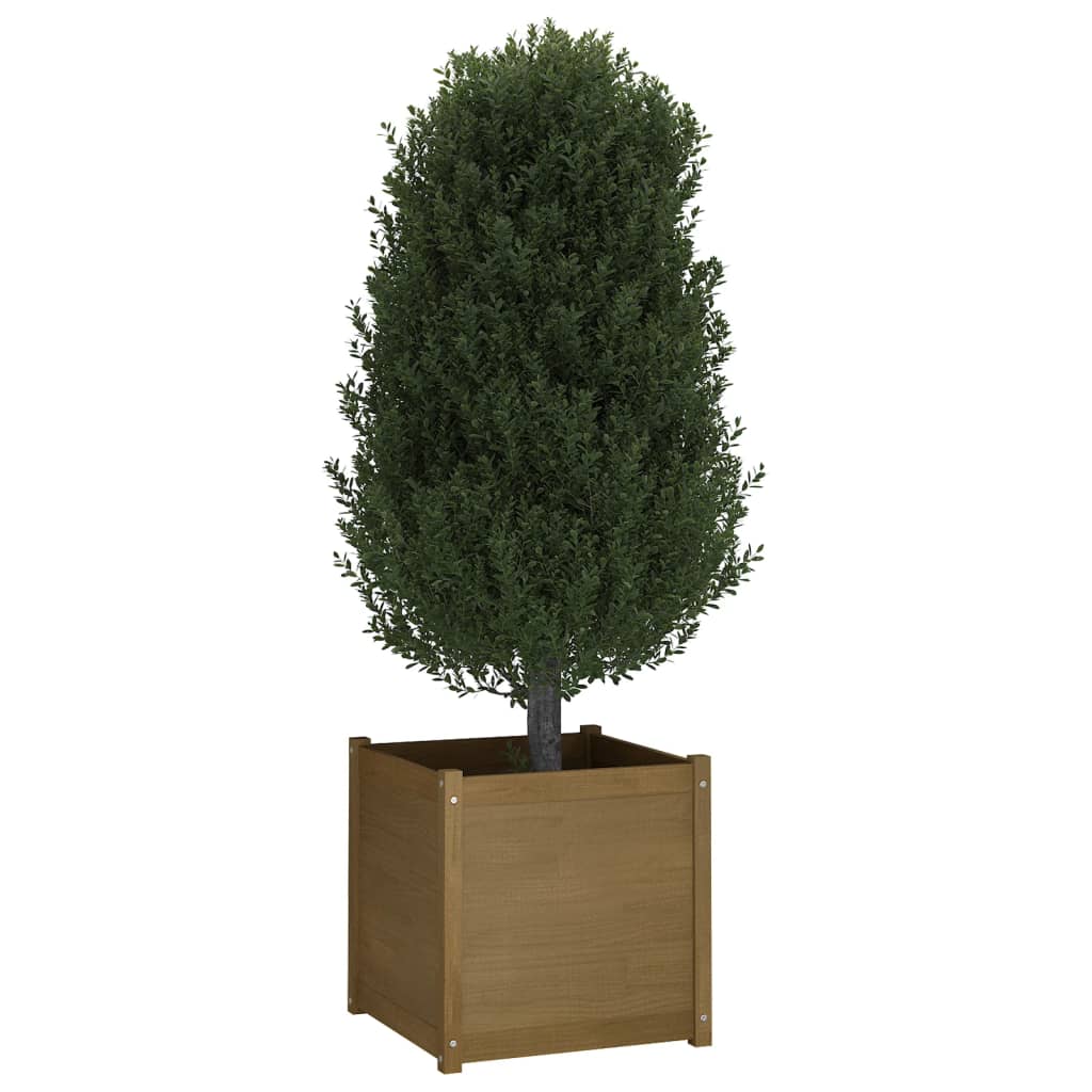 vidaXL Garden Planters 2 pcs Black 23.6"x23.6"x23.6" Solid Wood Pine-34