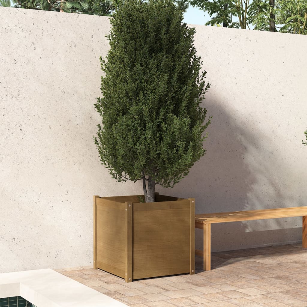 vidaXL Garden Planters 2 pcs Black 23.6"x23.6"x23.6" Solid Wood Pine-19
