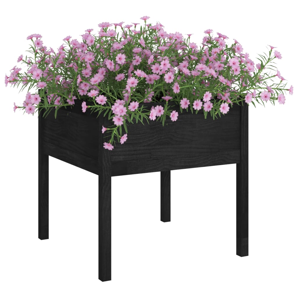 vidaXL Garden Planters 2 pcs Black 27.6"x27.6"x27.6" Solid Wood Pine-6