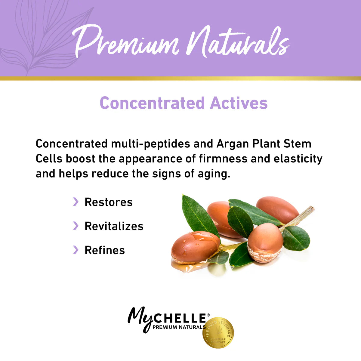 MyCHELLE Peptideº Anti-Wrinkle Serum