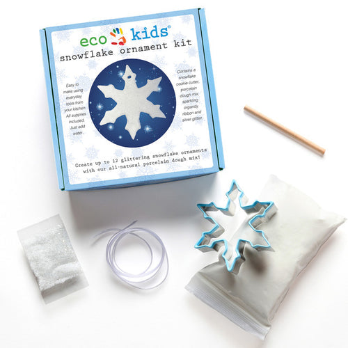 Eco-Kids Snowflake Ornament Kit