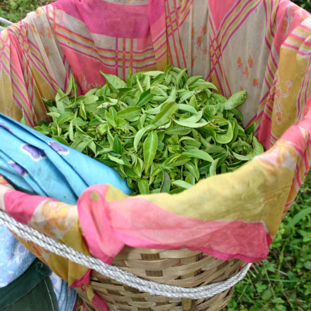 Equal Exchange Organic English Breakfast Tea