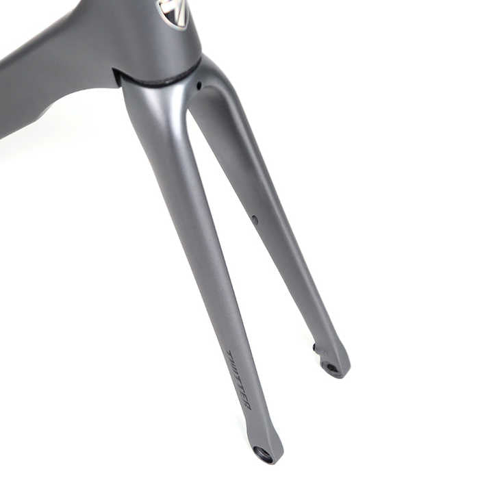 TWITTER T8-Disc Carbon Road Frame Set – T800, 700C, Thru Axle, Aero, Gloss+UV Decals-2