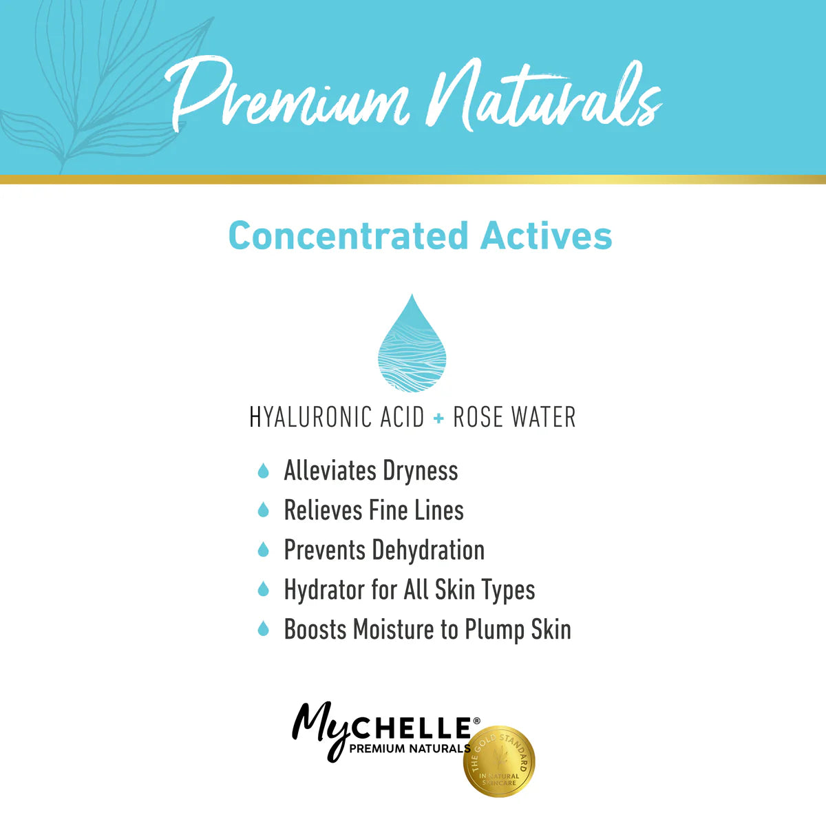 Ultra Hyaluronic Hydrating Cleanser