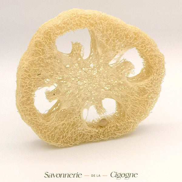 Loofah-2