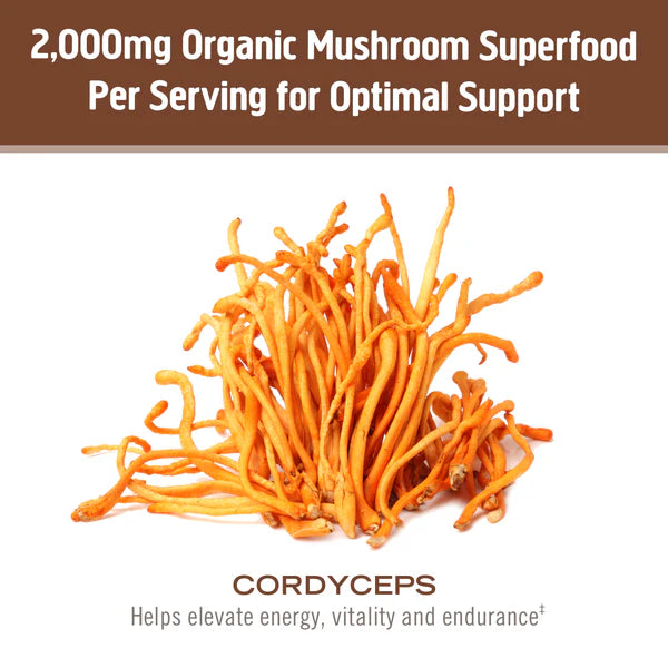 Om Cordyceps Organic Mushroom Powder 3.5 oz