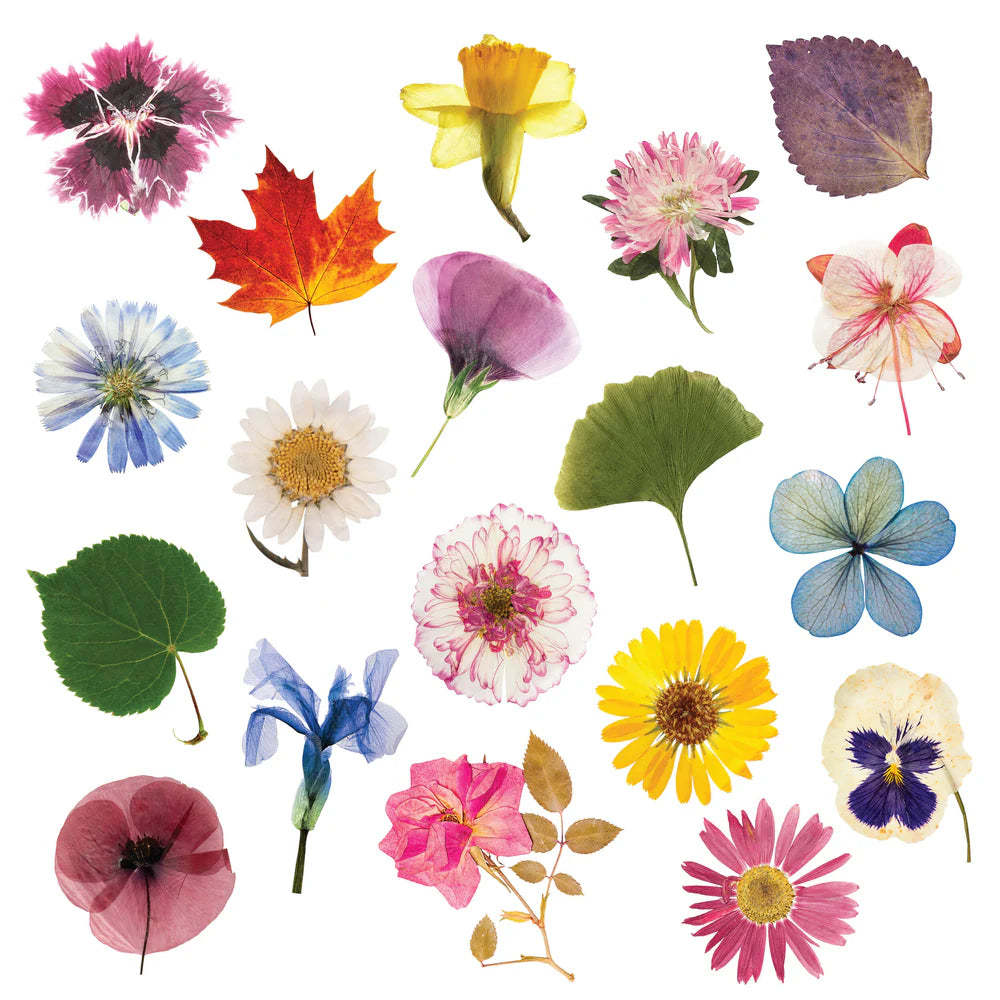 Eco-Kids Flower Press