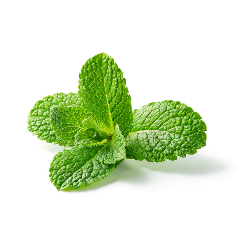 Essential Oxygen On-Demand Tooth Polish | Peppermint