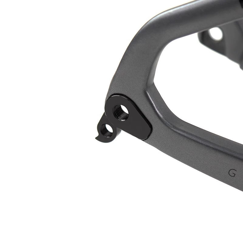 TWITTER GRAVEL V1 Disc Carbon Road Frame Set – T800, 700C, Holographic-1