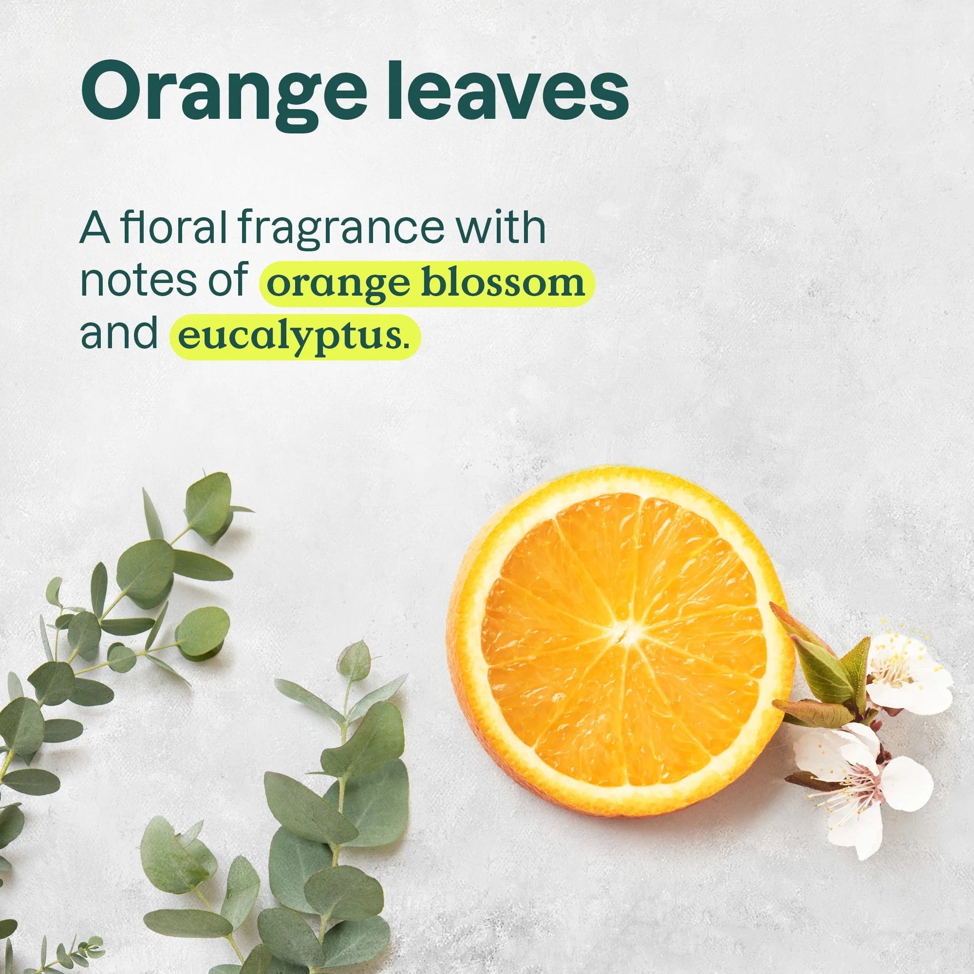 SUPER LEAVES„¢ Body Lotion Orange Leaves 8 OZ