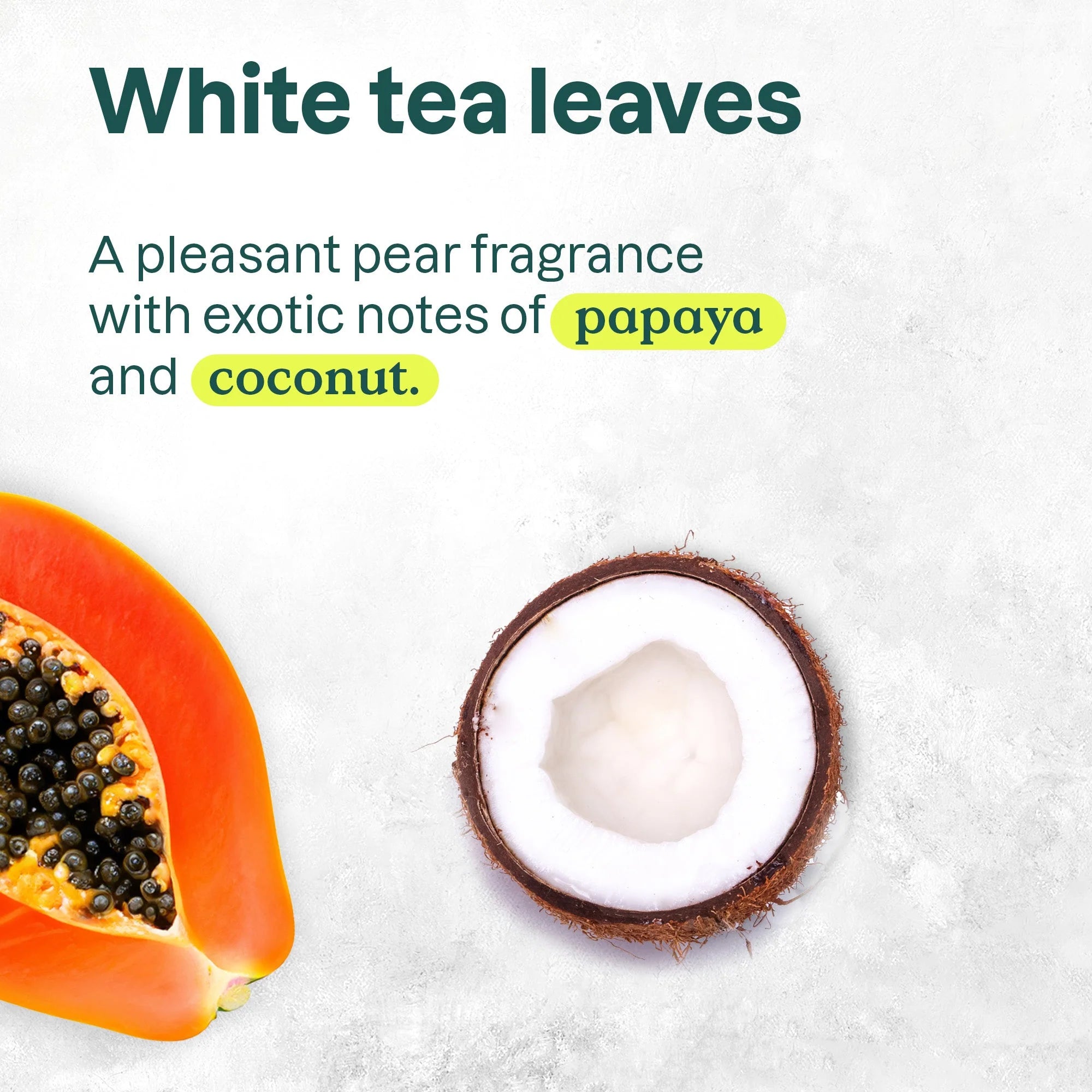 SUPER LEAVES„¢ Shower Gel White Tea Leaves 16 FL OZ
