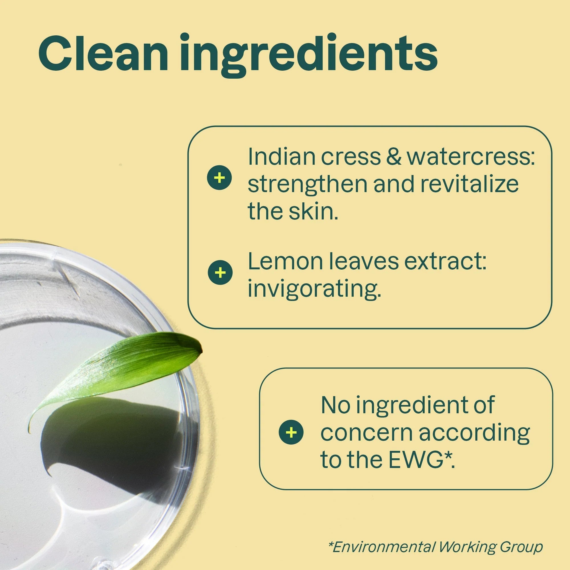 SUPER LEAVES„¢ Liquid Hand Soap Lemon Leaves 16 FL OZ