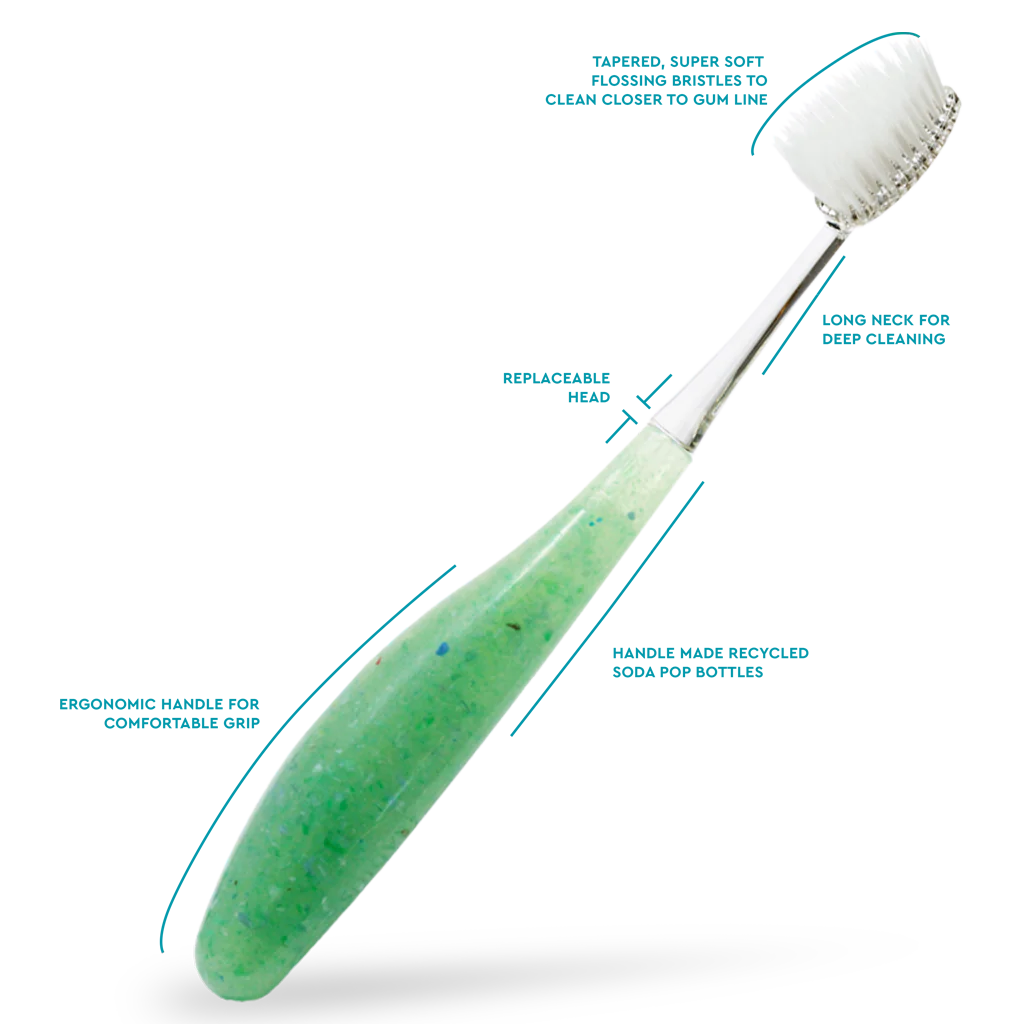 Radius Source„¢ Brush Toothbrush 6 Pack