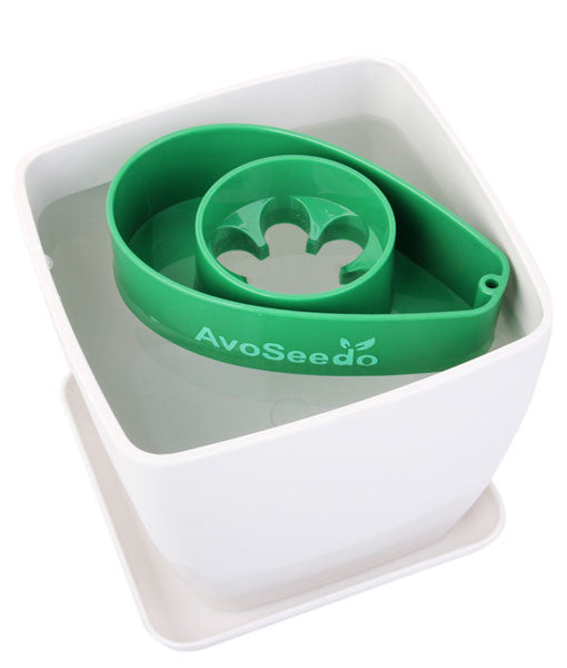 - AvoSeedo Plant Pot Set --6