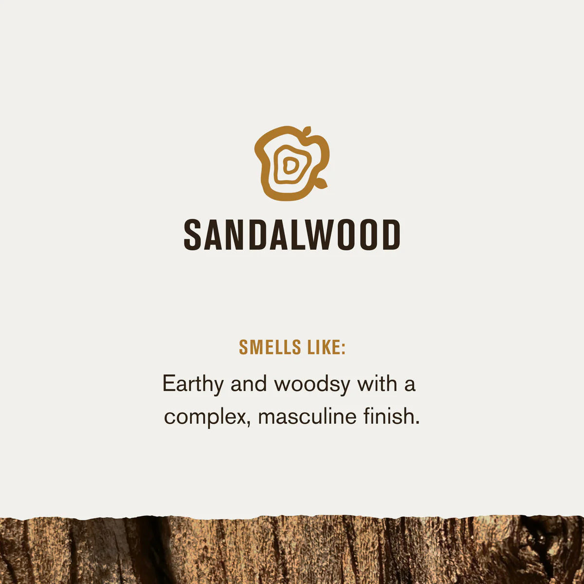 Sandalwood 2-in-1 Shampoo + Conditioner 13.5 OZ