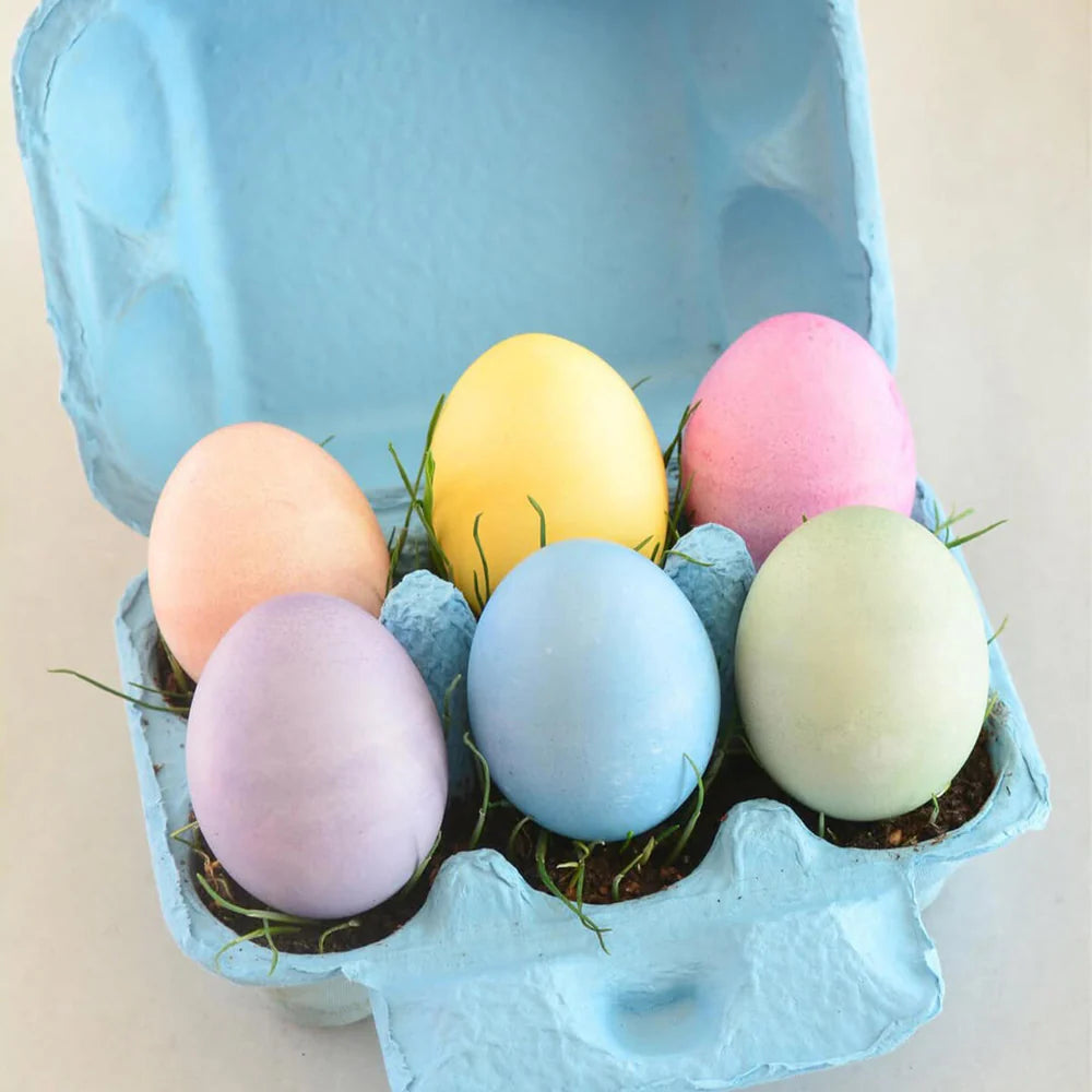 Eco-Kids Egg Coloring & Grass Growing Kit