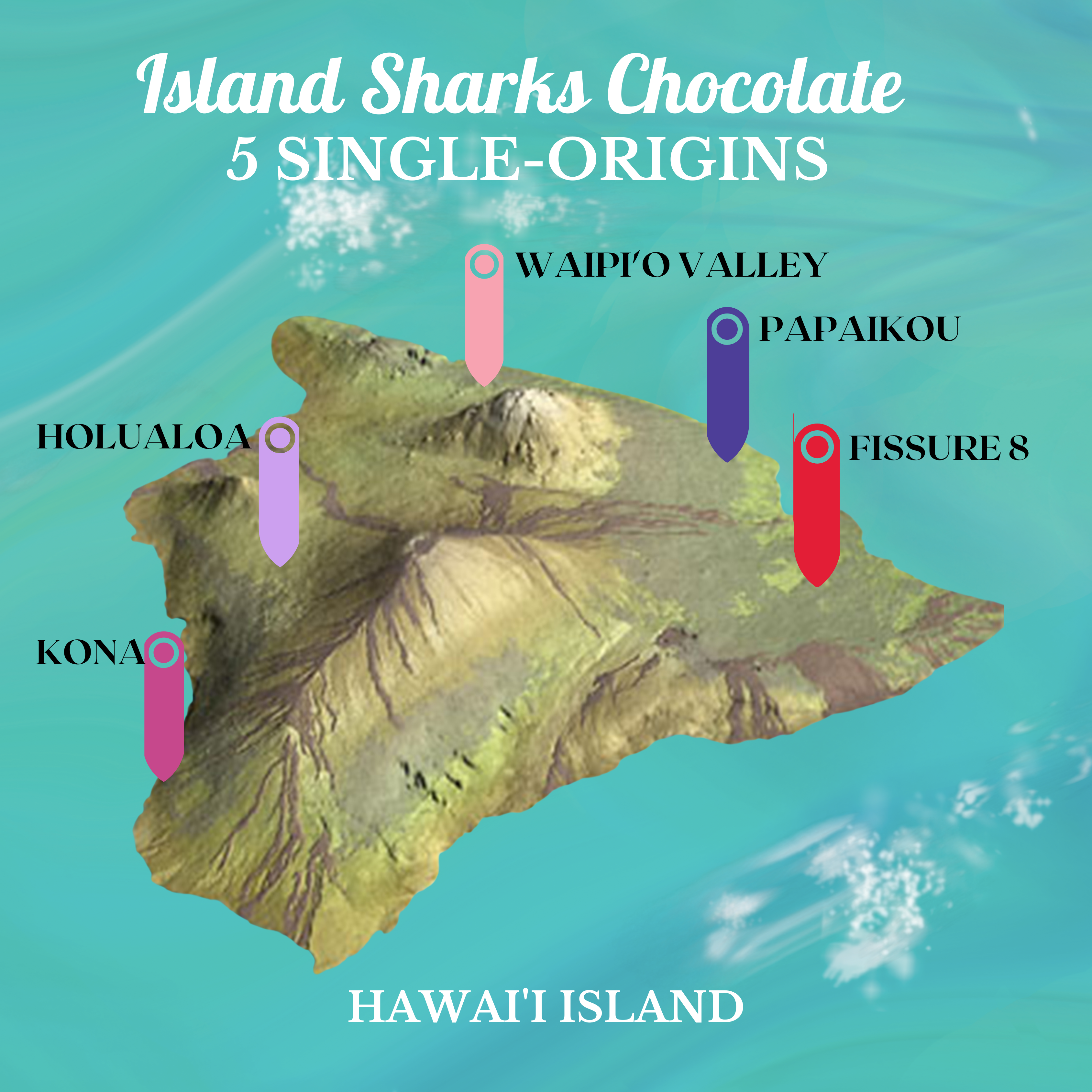 100% Hawaiian Ceremonial Cacao-9