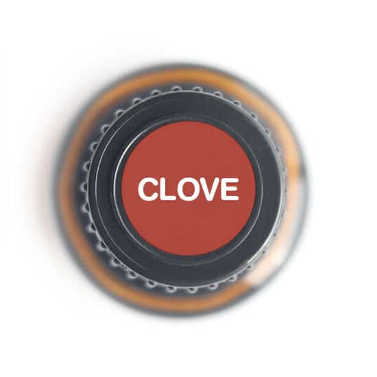 Clove Bud Essential Oil - 15ml