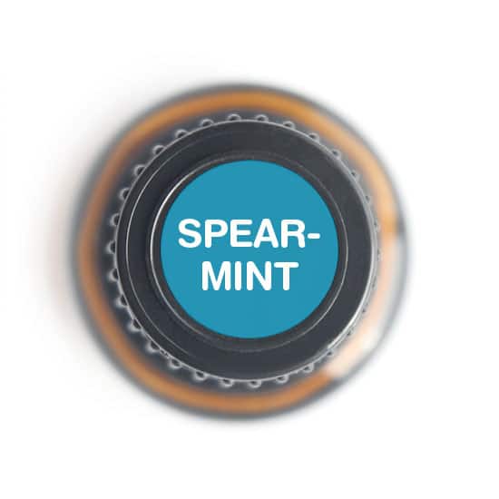 Spearmint  Pure Essential Oil- 15ml