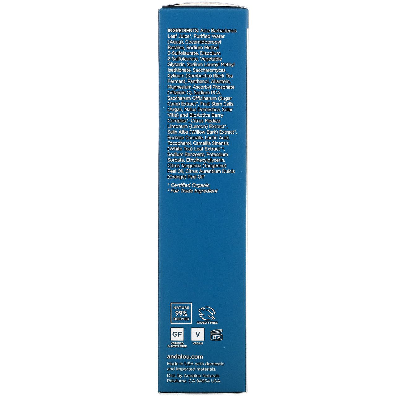 Andalou Naturals Citrus Kombucha Facial Cleansing Gel (1x6 Oz)-2