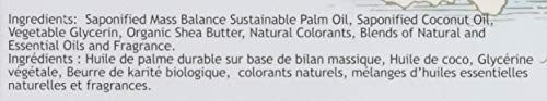 South of France Bar Soap Orange Blossom Honey (1x6 OZ)-6