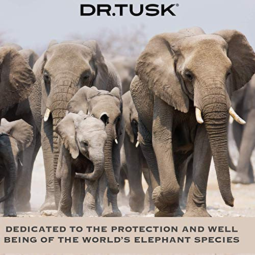 DRTSK BRM SNDWD SOAP BAR ( 1 X 6 OZ   )-2