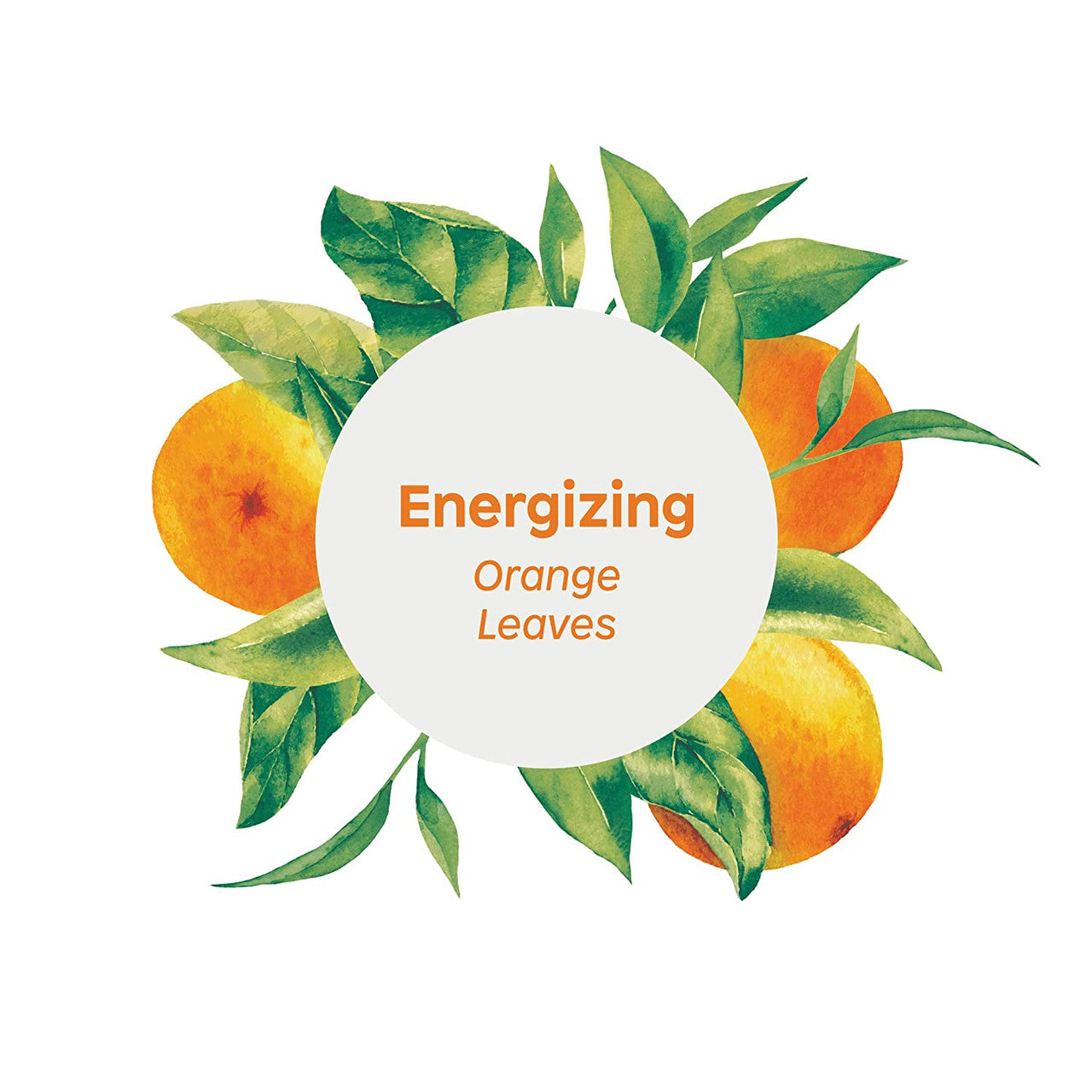 ATITUD BDY/CRM ENERGIZNG ( 1 X 8 OZ   )-3