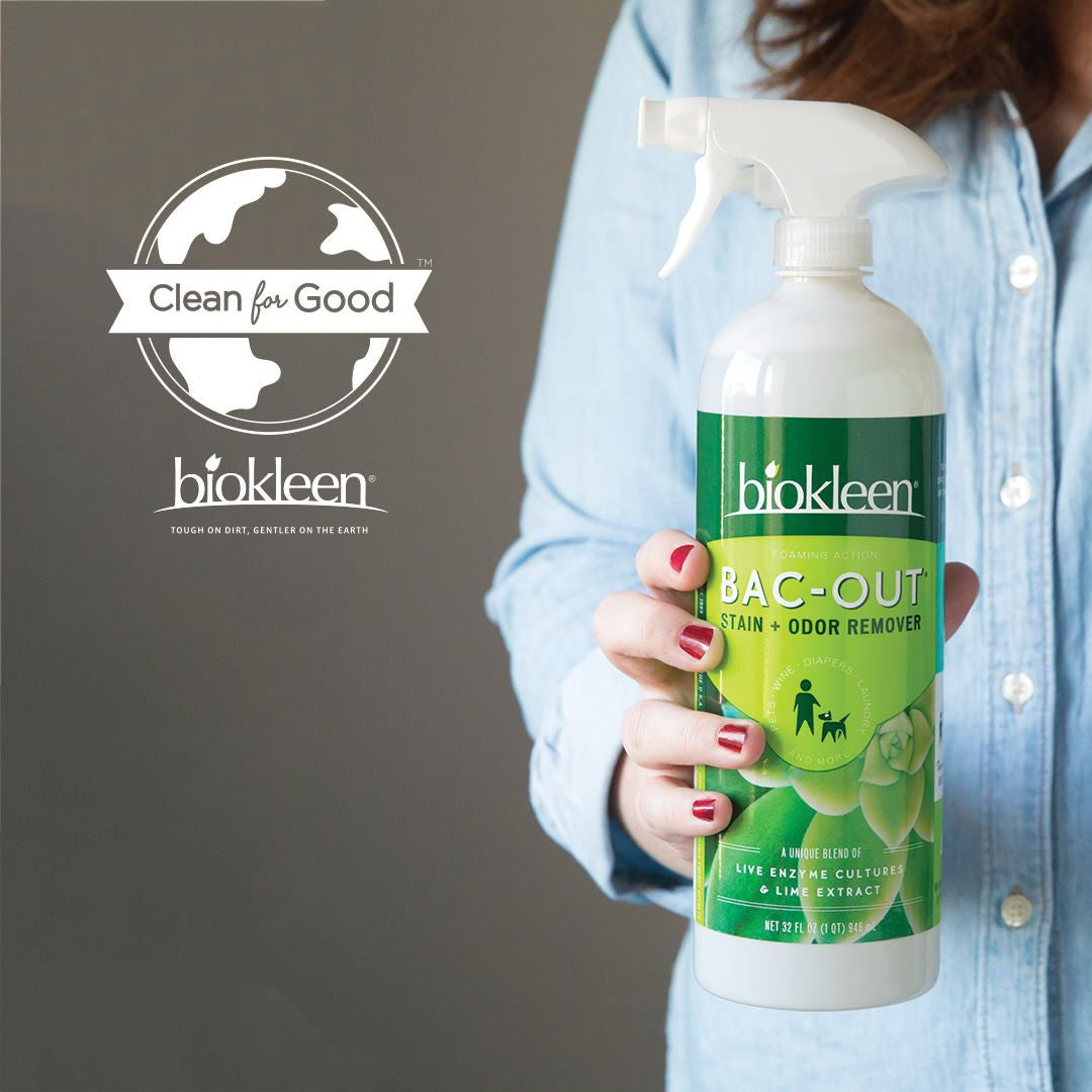 BK STAIN+ODOR RMVR,B/O ( 6 X 32 OZ   )-2