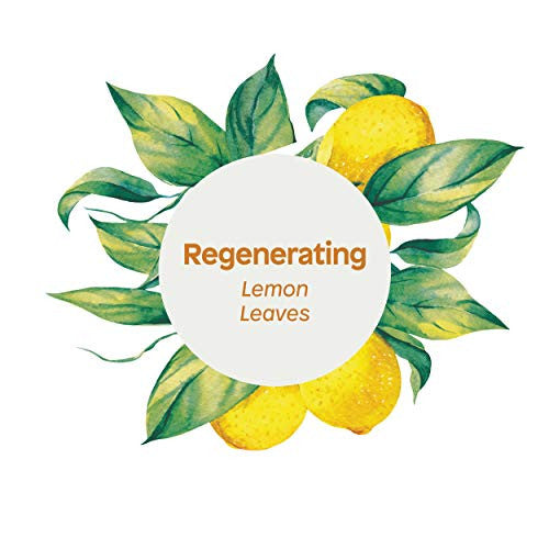 ATITUD BDY/CRM REGENRTNG ( 1 X 8 OZ   )-4