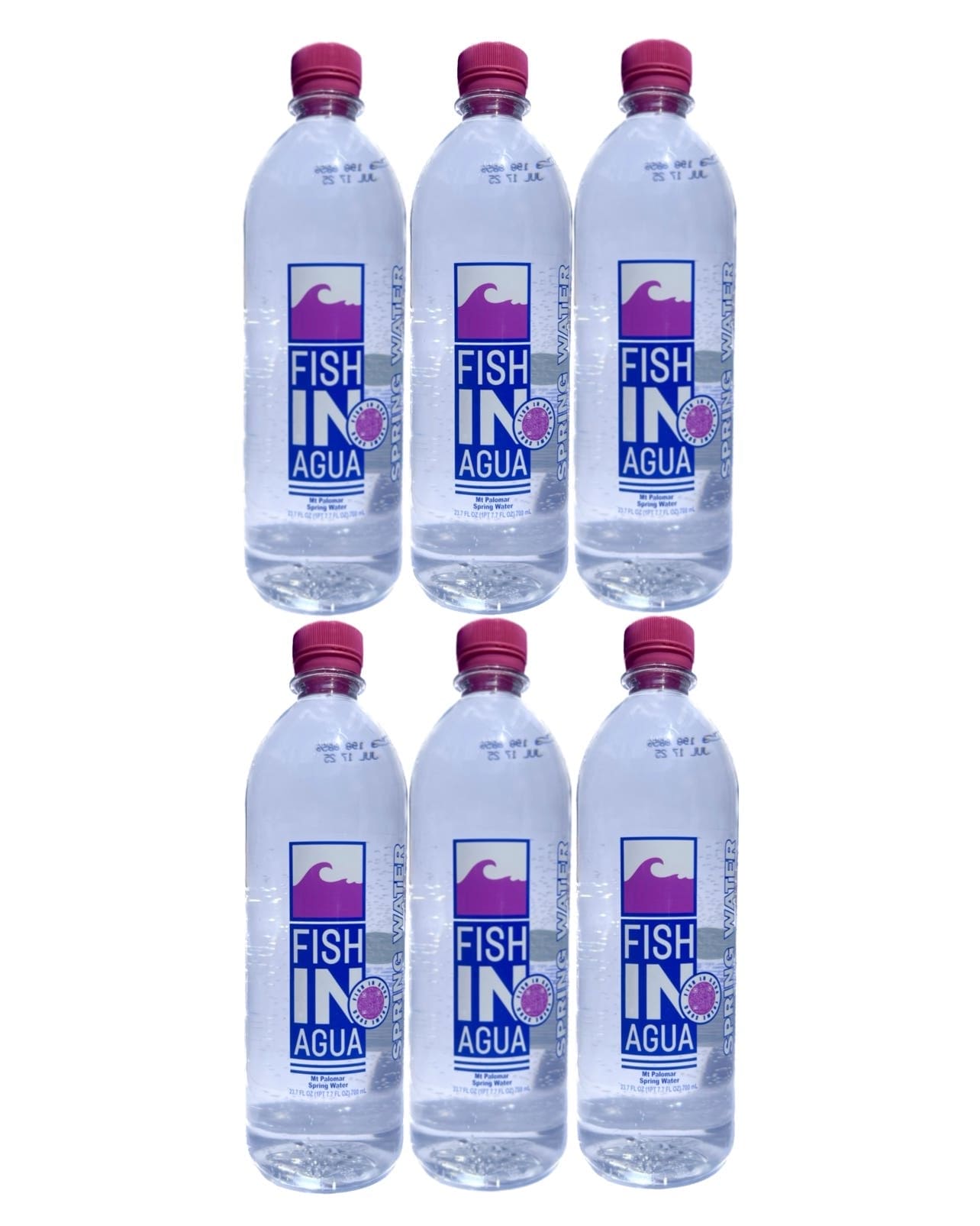 FISHINAGUA Bottled Natural Spring Water 23.7 FL OZ-1