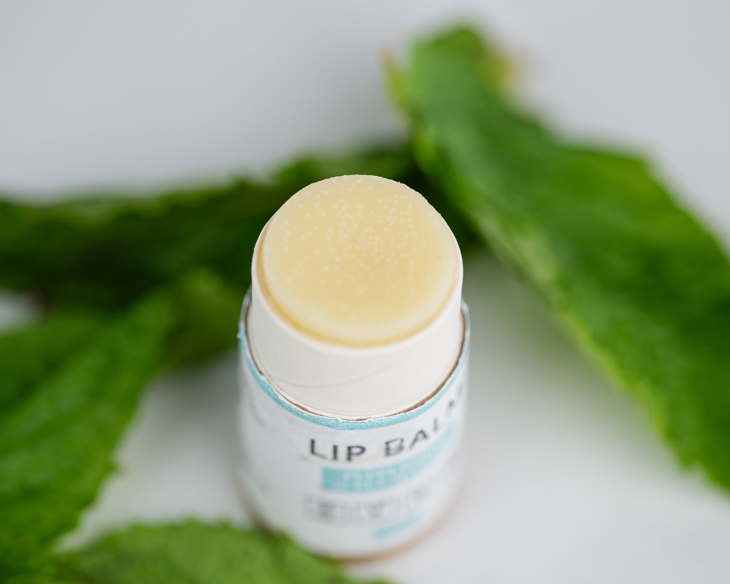 Lip Balm Bundle ($30 Value)-9