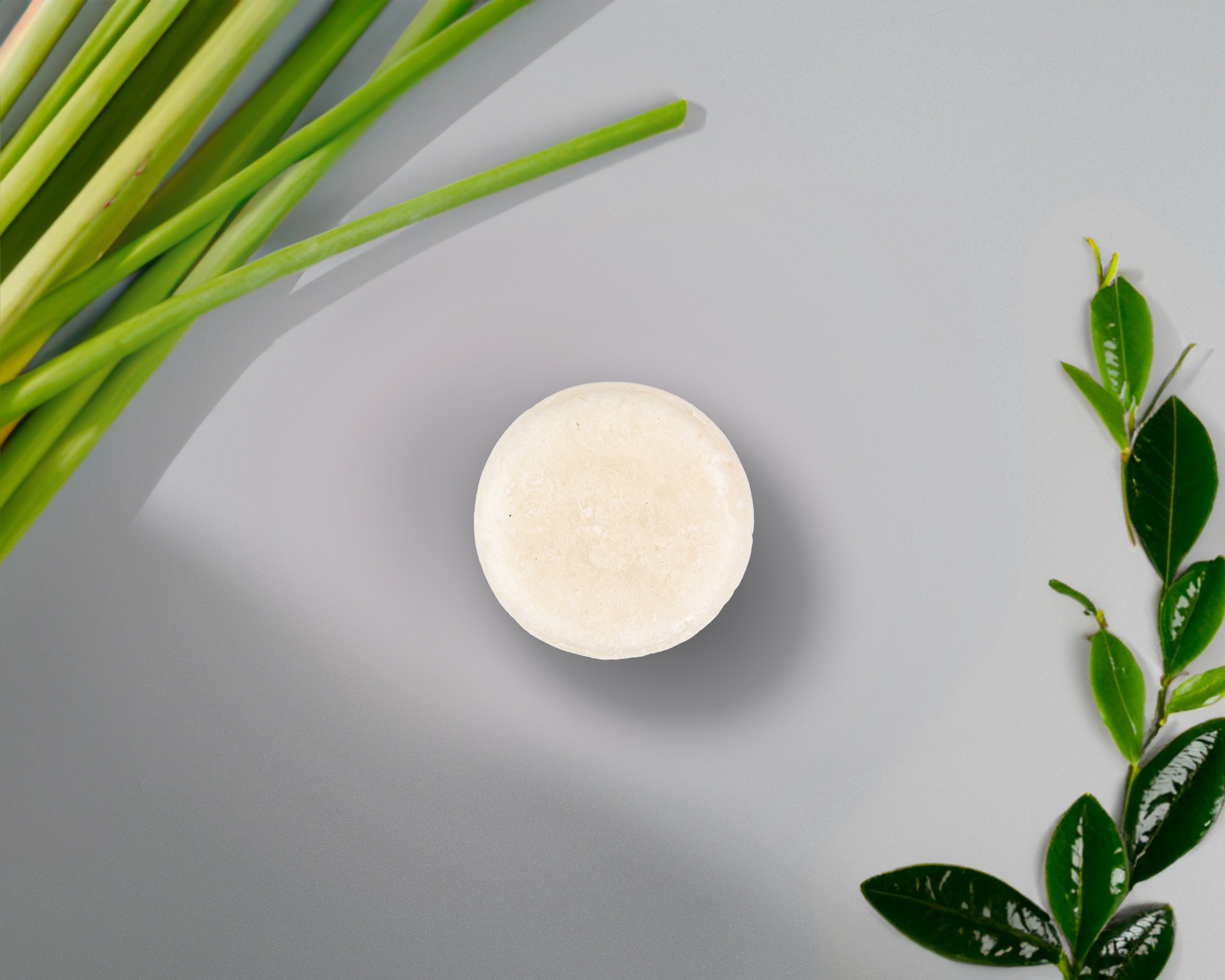 Sulfate-Free Shampoo Bar (Duo)-1