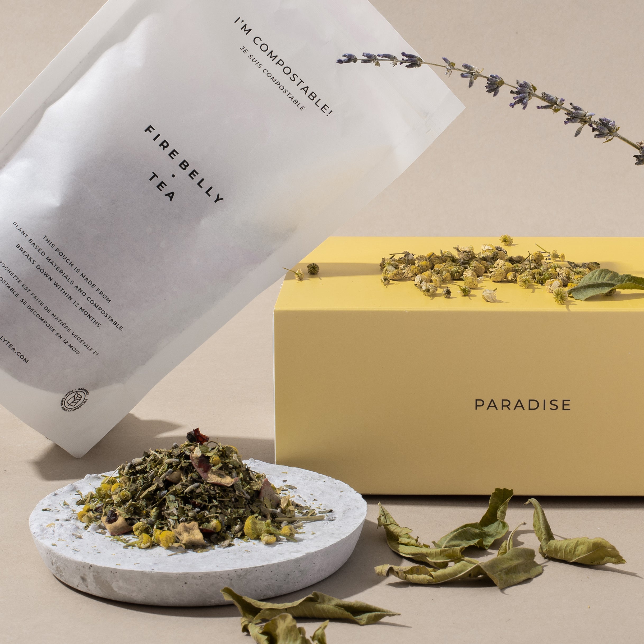 Paradise-5