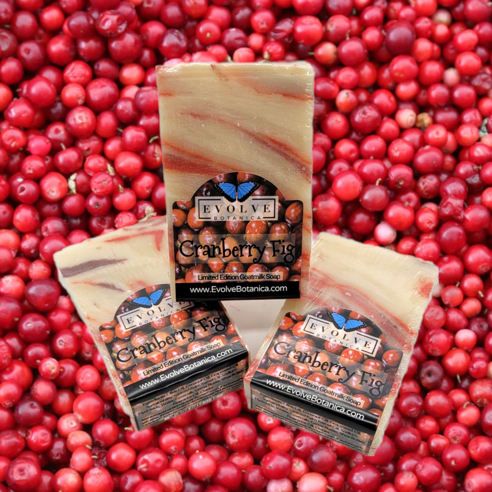 Standard Soap - Cranberry Fig (Seasonal)-1