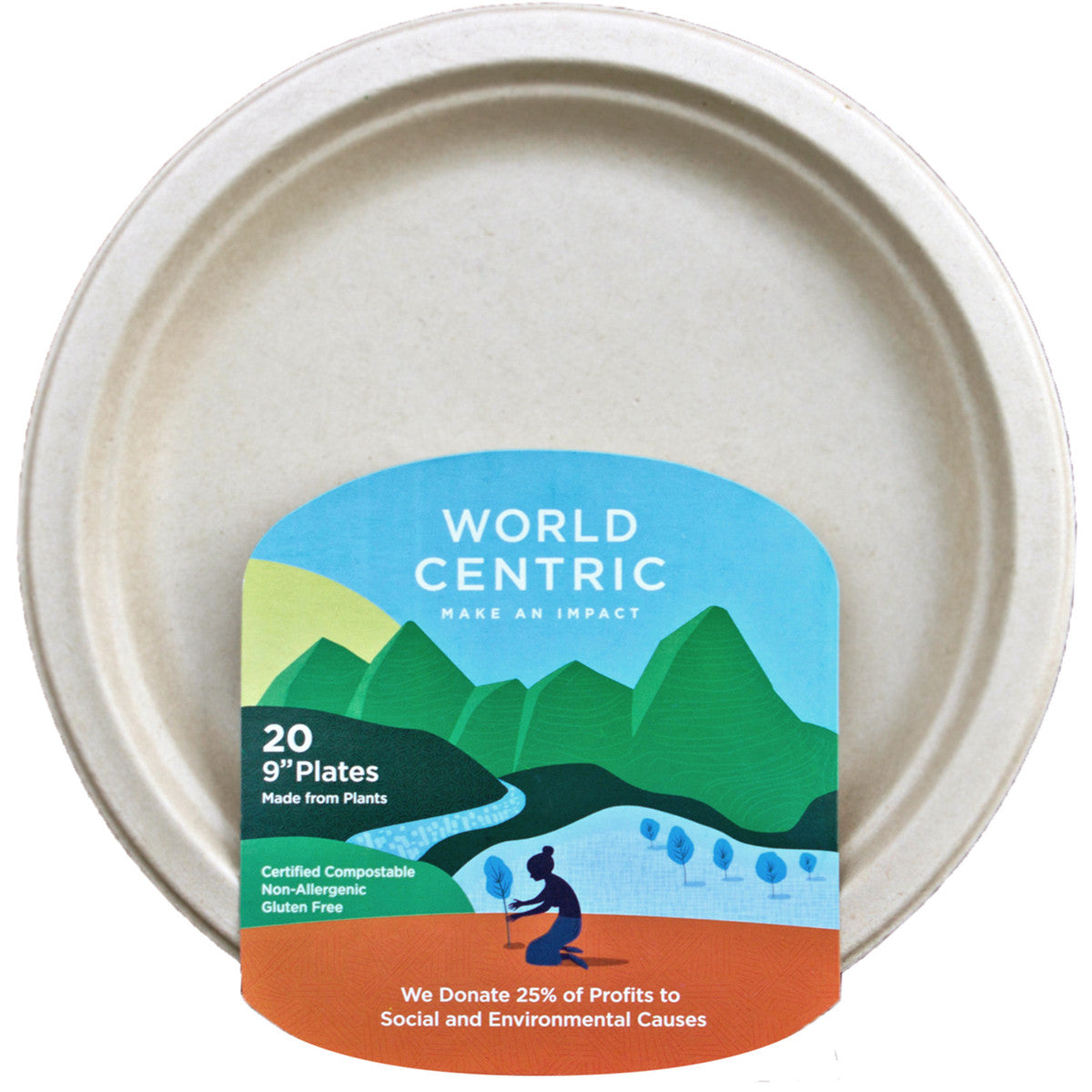 World Centric Fiber Plate 9In (12x20 CT)-0